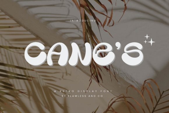 Cane s: A Retro Display Typeface for Bold Web Design